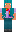 skin of a player