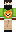 skin of a player