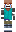skin of a player