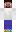 skin of a player