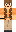 skin of a player
