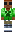 skin of a player