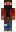 skin of a player