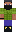skin of a player