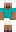 skin of a player