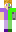 skin of a player