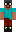 skin of a player