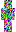 skin of a player