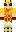 skin of a player