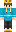 skin of a player