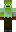 skin of a player
