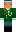 skin of a player