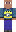 skin of a player