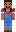 skin of a player