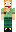 skin of a player