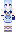 skin of a player