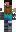 skin of a player
