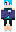 skin of a player