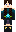 skin of a player