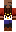 skin of a player