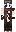 skin of a player