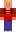 skin of a player