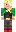 skin of a player