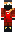 skin of a player
