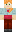 skin of a player