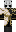 skin of a player