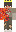 skin of a player