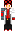 skin of a player