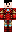 skin of a player