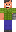 skin of a player