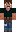 skin of a player