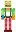 skin of a player