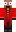 skin of a player