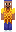 skin of a player