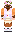skin of a player