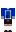 skin of a player
