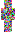 skin of a player