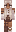 skin of a player