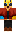 skin of a player
