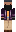 skin of a player