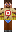 skin of a player