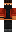 skin of a player