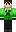 skin of a player