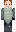 skin of a player