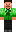 skin of a player