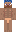 skin of a player